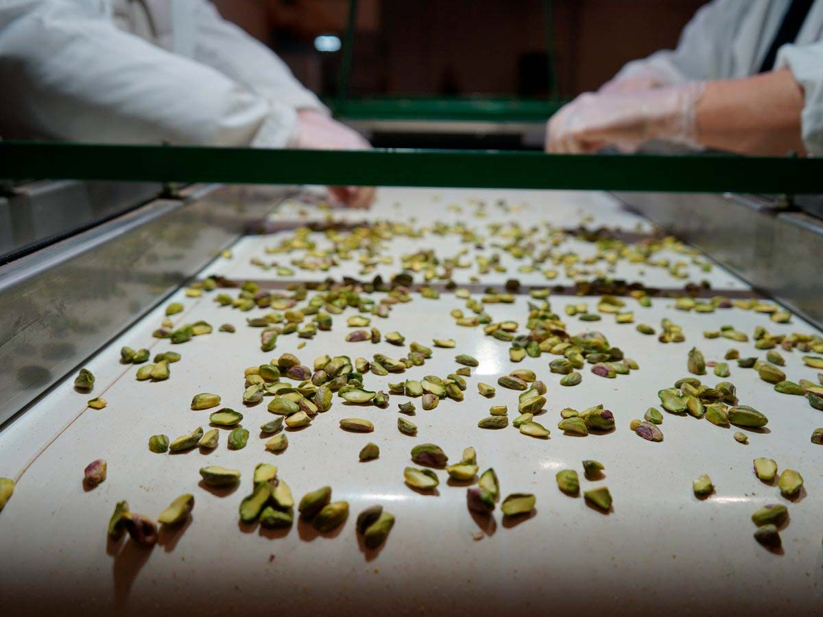Selección y envasado de pistacho ecológico en la planta de EcoPistacho